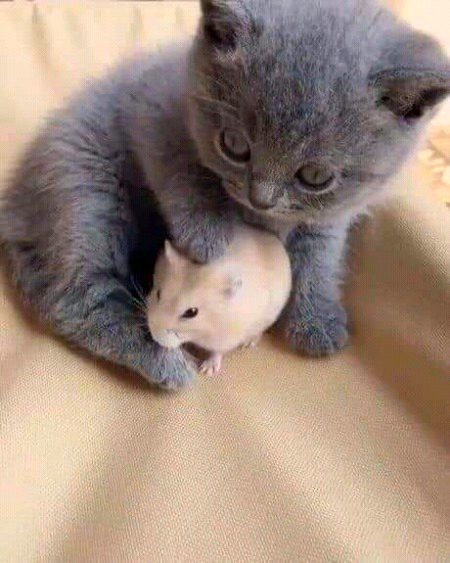 So cuteee😍😍😍😘😘