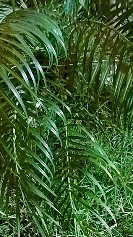 Beautiful Nature image