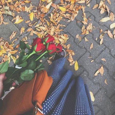 بہت مشکل ہے خود کے جیسی دنیا تلاشنا 🖤