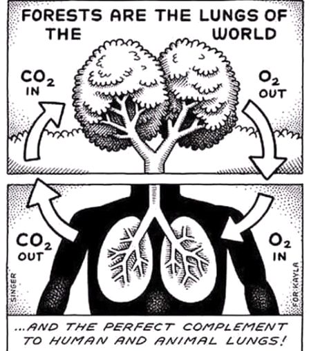 Health & Beauty image