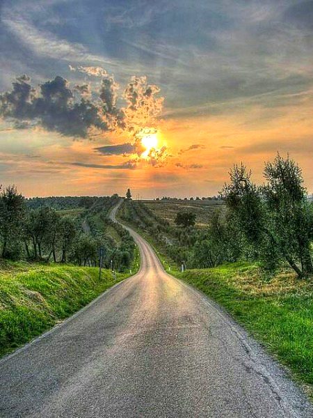 Beautiful Nature image