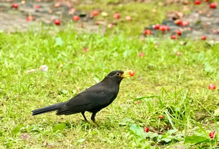 مضبوط کردار کے لوگ شکائتیں نہیں ، فیصلے کرتے ہیں۔