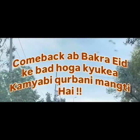 Memes & Satire image