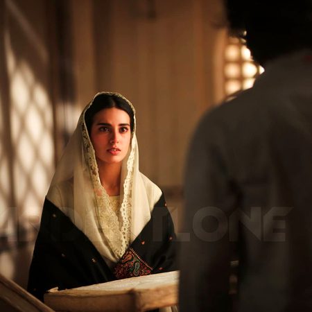 Pakistani Celebs image