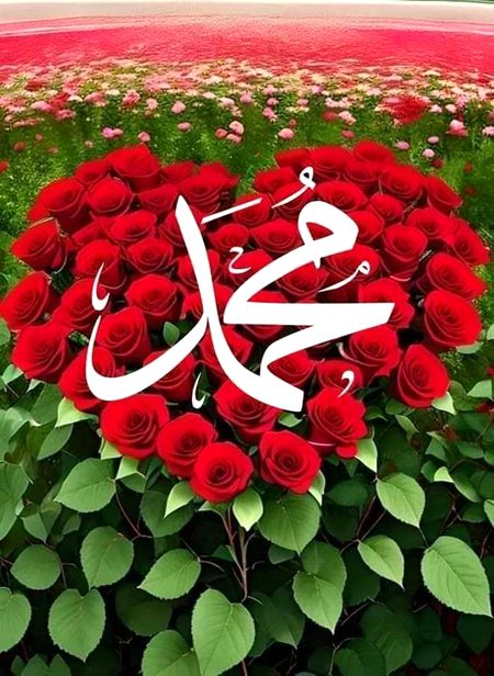 Islamic Quotes image