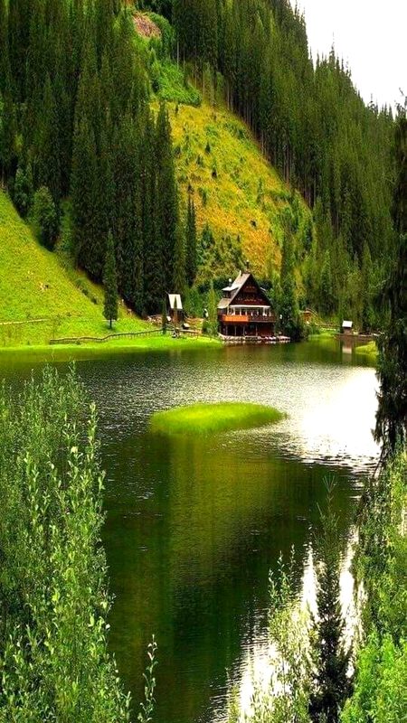 Beautiful Nature image