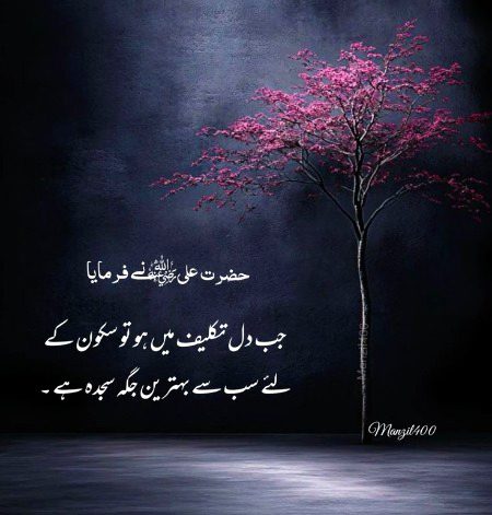 Islamic Quotes image