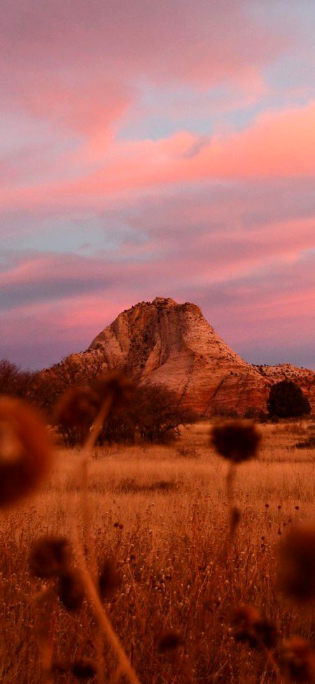 Beautiful Nature image