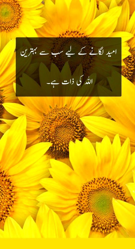 Islamic Quotes image