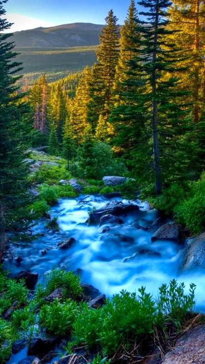 Beautiful Nature image