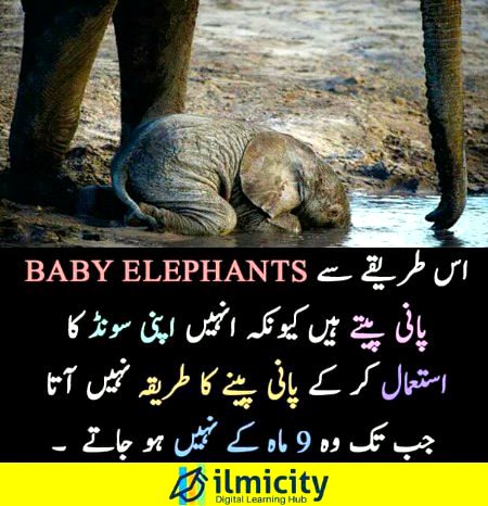 Interesting Posts image