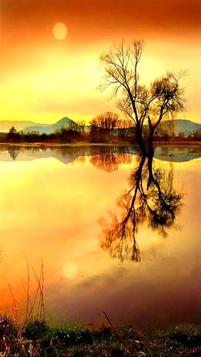 Beautiful Nature image