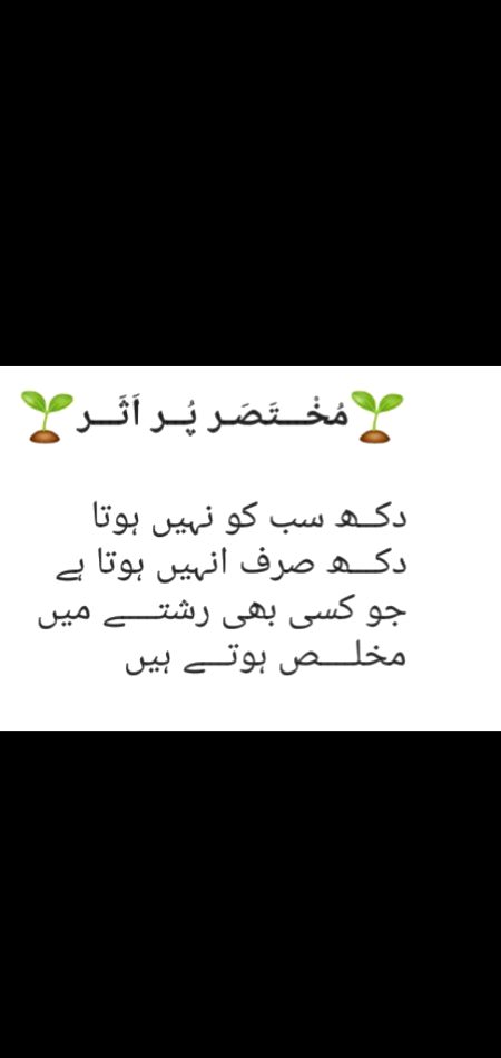 Shahnoor Abbasi🦋