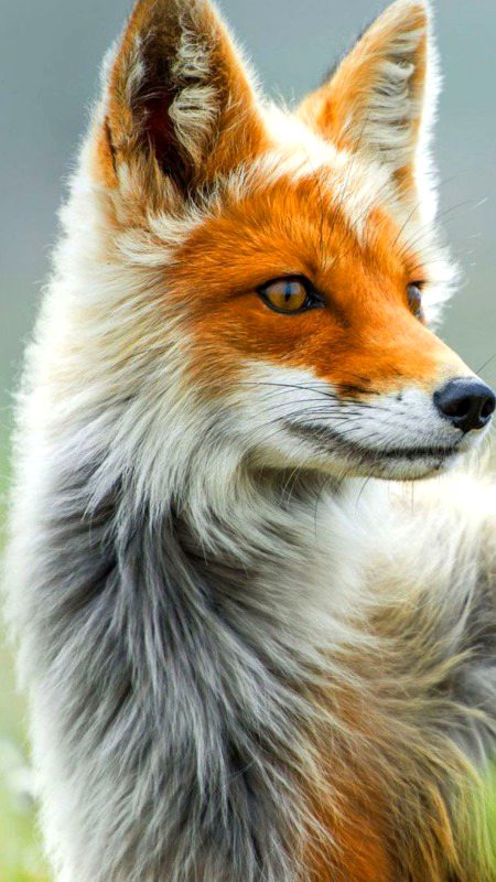 Beautiful Nature image