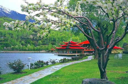 Beautiful Nature image