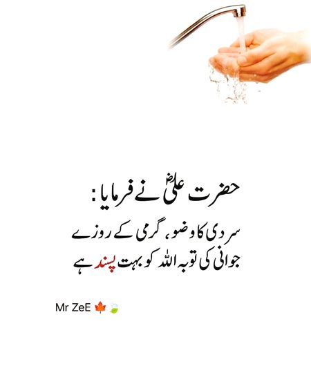Islamic Quotes image