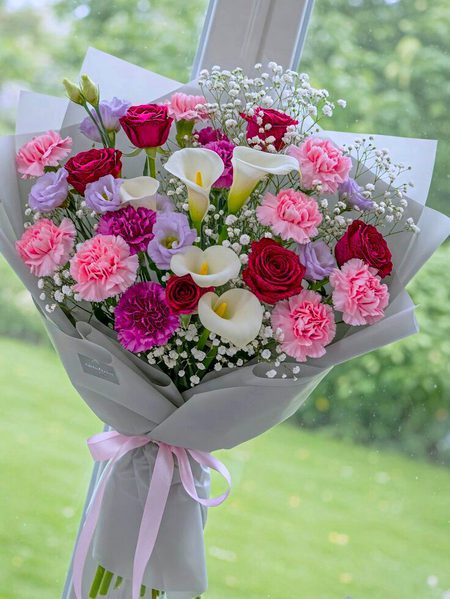 Beautiful Nature image