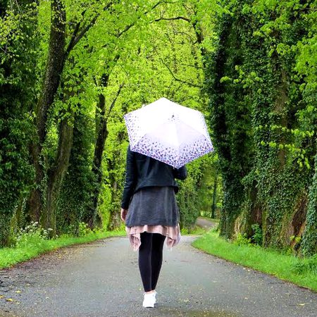 Beautiful Nature image