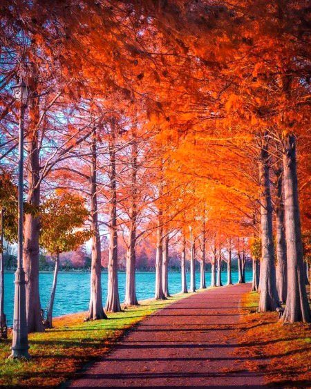 Beautiful Nature image