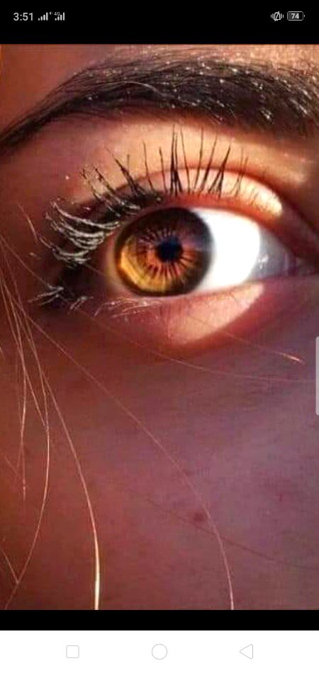 تیری آنکھوں کی قسم ہم کو یہ ممکن ہی نہیں.
تو نہ ہو اور یہ منظر بھی سہانے لگ جائیں🔥 Mahii 💔