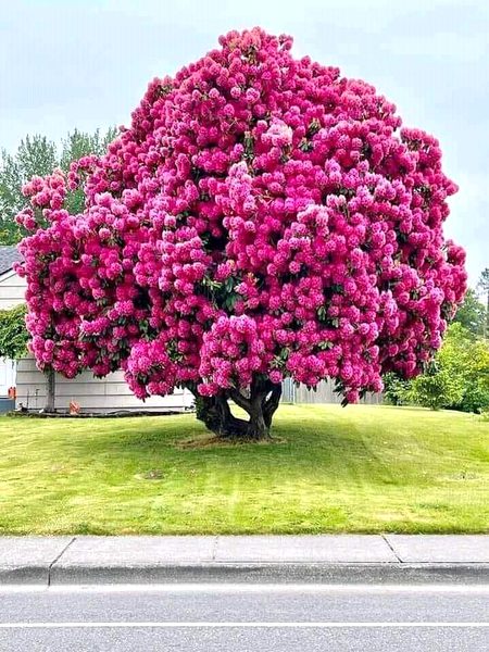 Beautiful Nature image