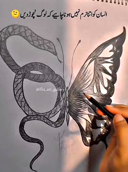 Memes & Satire image