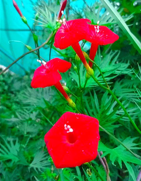 Beautiful Nature image