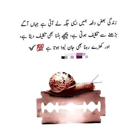 Aesa hi kch horha he. .