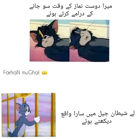 Memes & Satire image