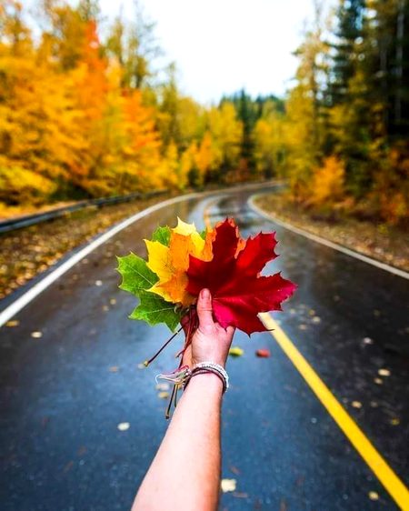 مجھے موسم سے کیا لینا ،، جولائی ہو ،، اگست ہو،؟
میرے سب رنگ تجھ سے ہیں، بہاروں کے،خزاؤں کے،
💗🍁🍂🍃