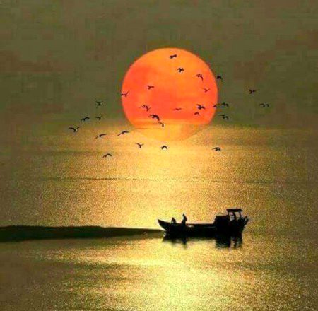 اک عمر اجالوں کے تعاقب میں گنوا کے___
ہم شام کے منظر میں سحر ڈھونڈ رہے ہیں!
- 🙂