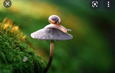 Beautiful Nature image