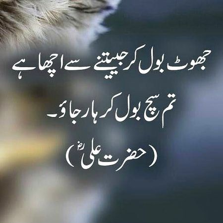 Life Advice image