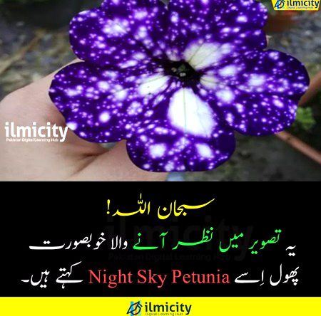 Interesting Posts image