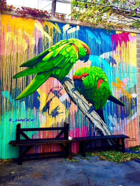 Street Art image
