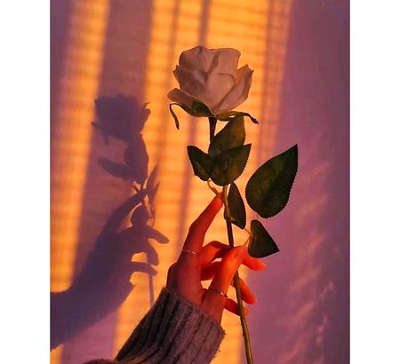 Beautiful Nature image