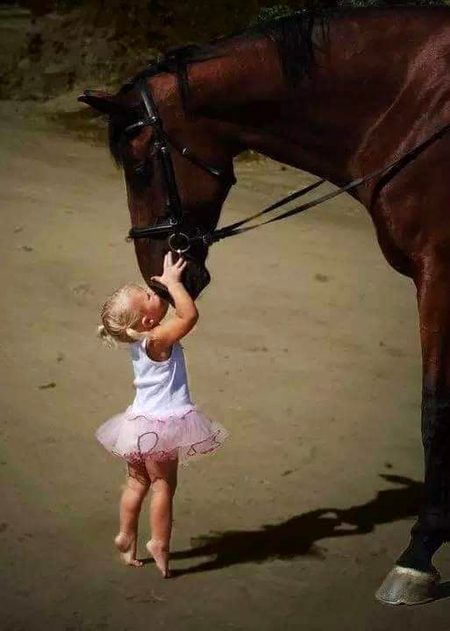 Love animals🐴