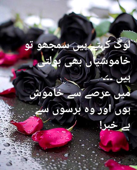 اچھا ہے خاموش رھنا