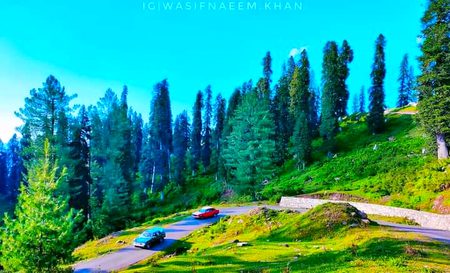 Beautiful Nature image