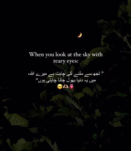 Sach mein is duniya m nahi jeena hai mery Rab😞🥀