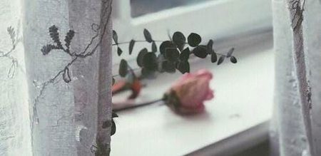 رزق کی سب سے خوبصورت قِسم : 
اللّٰه پاک ہمیں ایسے لوگوں سے نوازے جن کی نظر میں ہم 
کبھی بے قیمت نہ ہوں☘️🕊