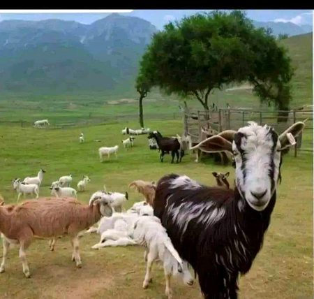 80% ankhen band kar ki dikho kia nazar aaya