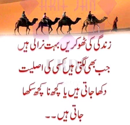Right....
