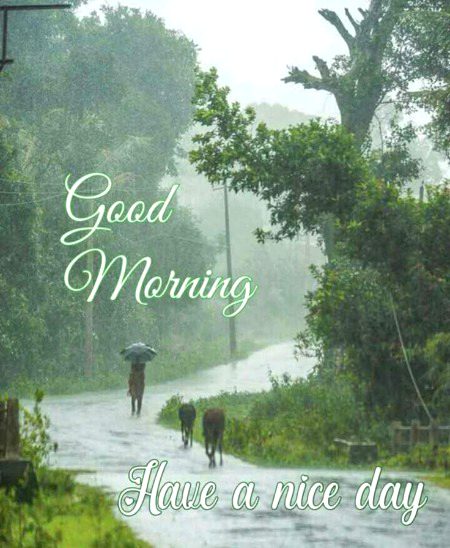 Beautiful Nature image