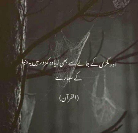 Islamic Quotes image