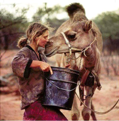 Beautiful Nature image