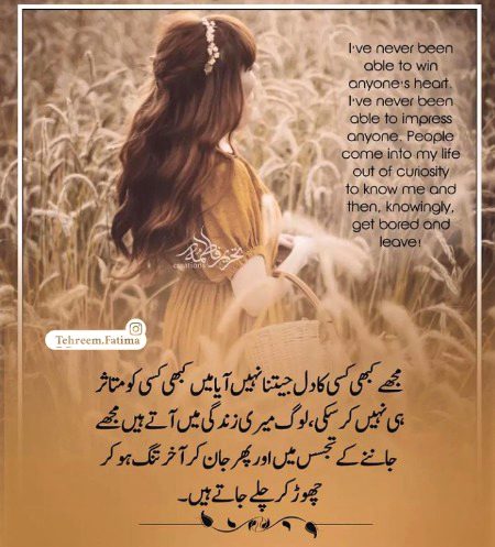 Attitude Quotes image