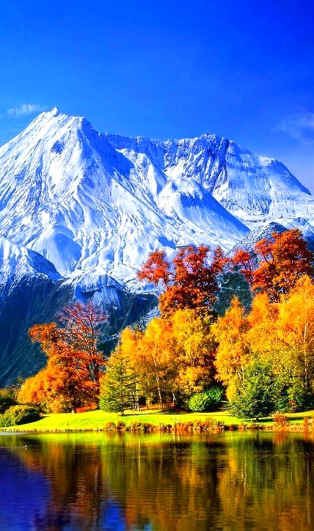 Beautiful Nature image