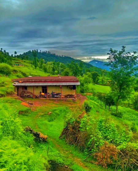 Beautiful Nature image