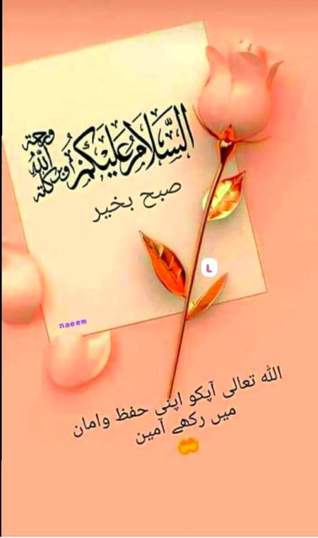 Assalam U Alaikum ❤️